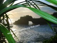 Palmblattlesung Bali Paul Schaffron